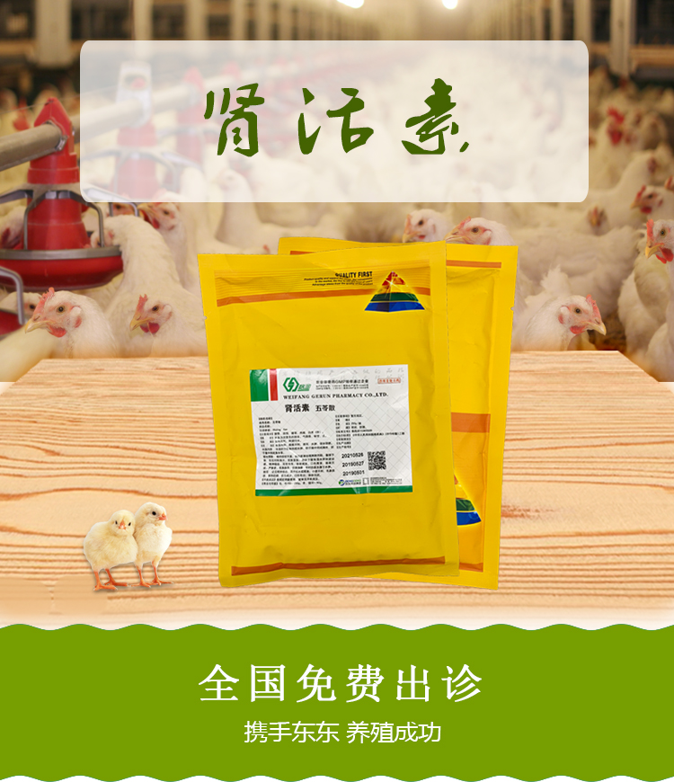 肾活素