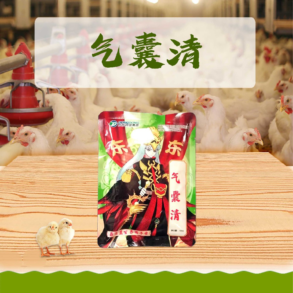 气囊清